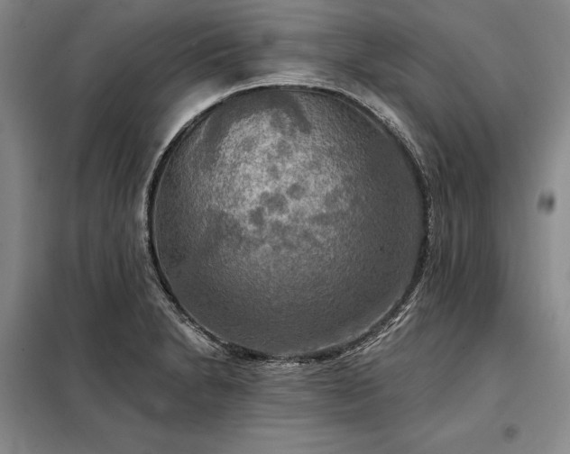 X0000098211230200805011203