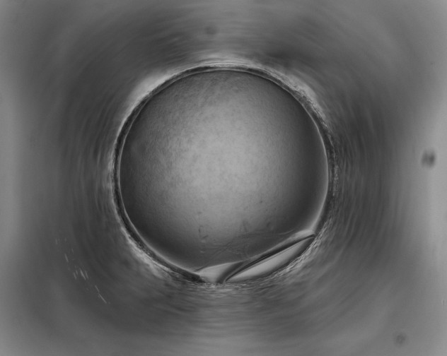 X0000098211231200805011203