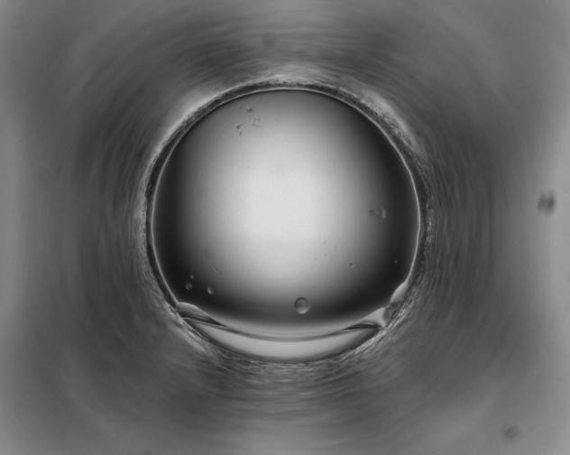 X0000098211232200805011203