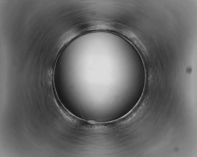 X0000098211233200805011203
