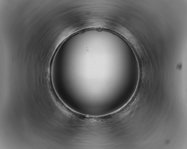X0000098211234200805011203