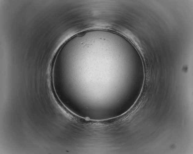 X0000098211235200805011203