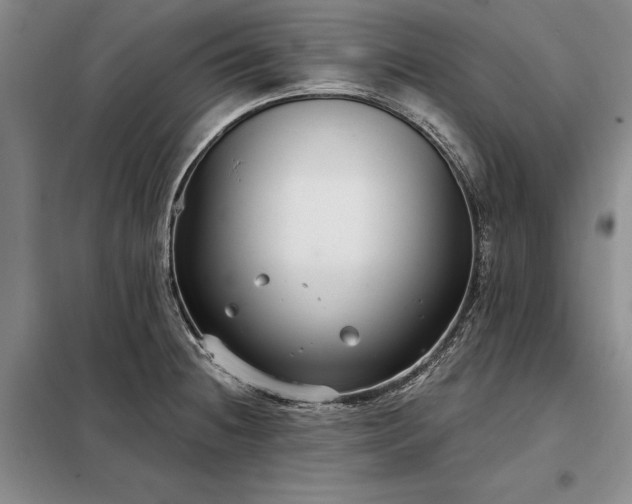 X0000098211236200805011203