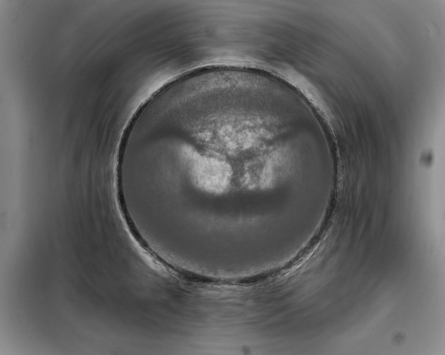 X0000098211237200805011203