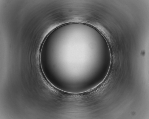 X0000098211238200805011203