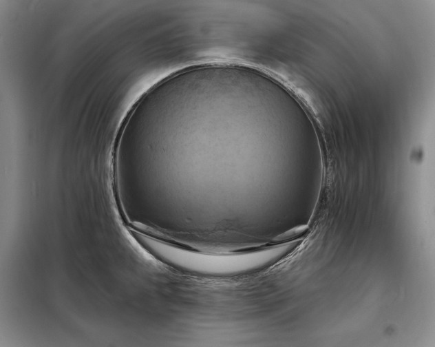 X0000098211239200805011203