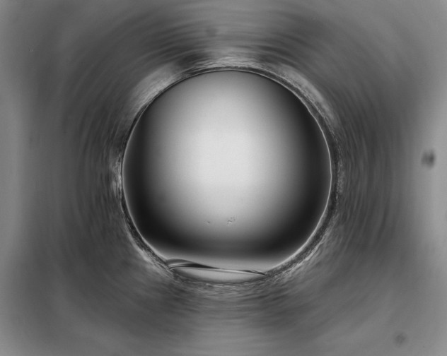 X0000098211241200805011203