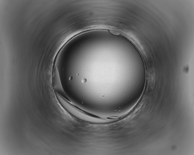 X0000098211244200805011203