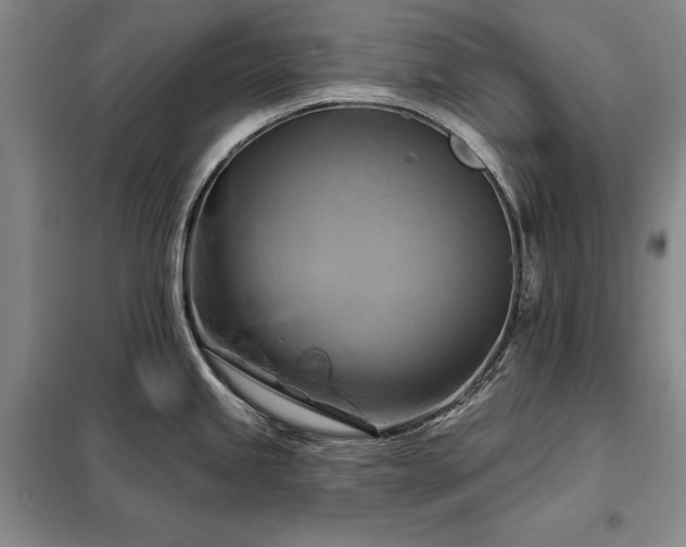X0000098211245200805011203