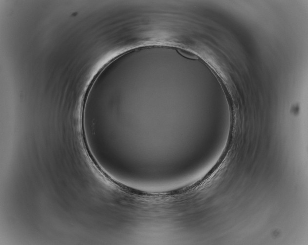 X0000098211246200805011203