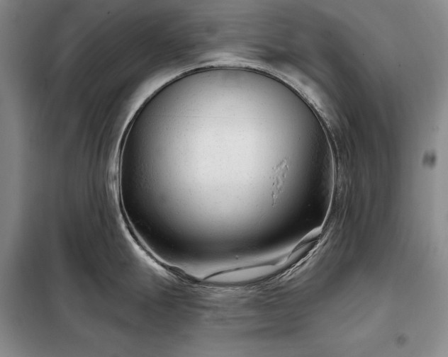 X0000098211247200805011203
