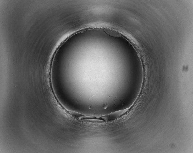 X0000098211248200805011203