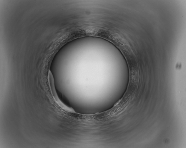 X0000098211249200805011202