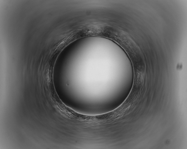 X0000098211250200805011202