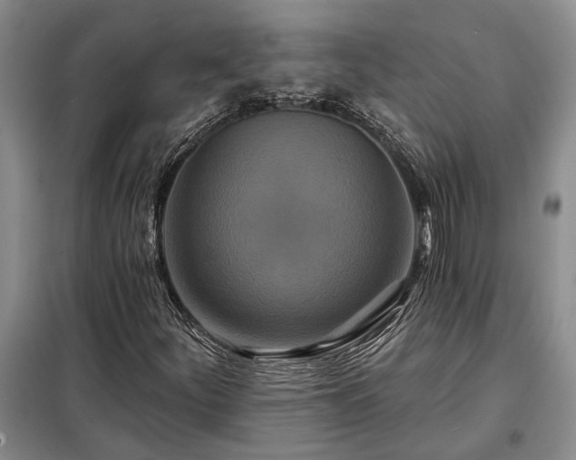 X0000098211252200805011202