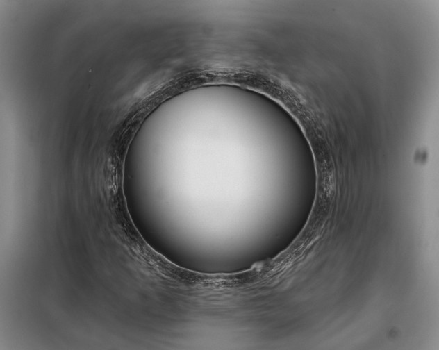 X0000098211253200805011202