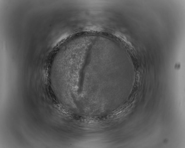 X0000098211254200805011202