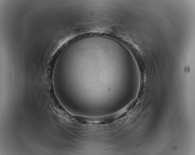 X0000098211256200805011202