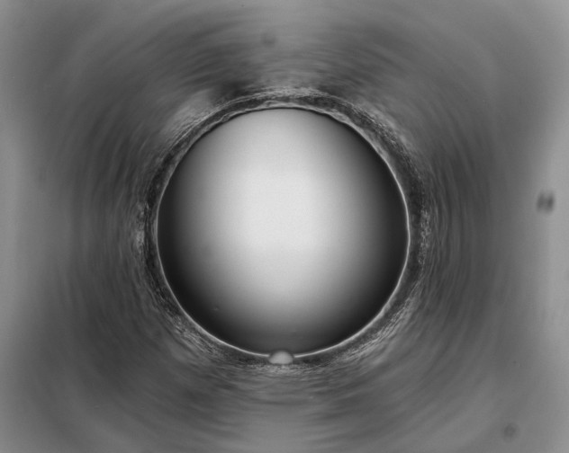 X0000098211257200805011202