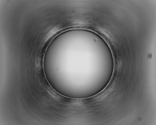 X0000098211259200805011202
