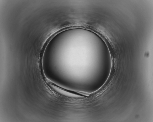 X0000098211260200805011202