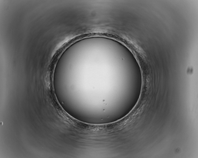 X0000098211262200805011202