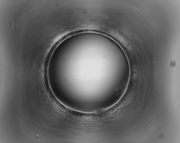 X0000098211264200805011202