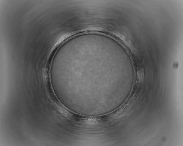 X0000098211266200805011202