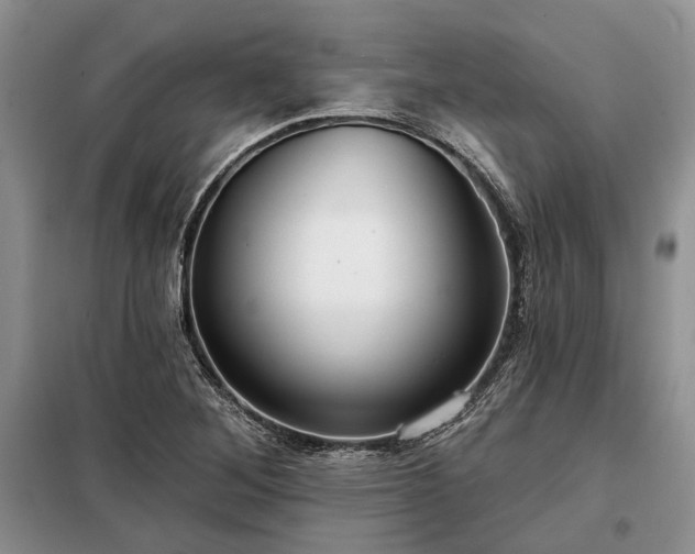 X0000098211268200805011202