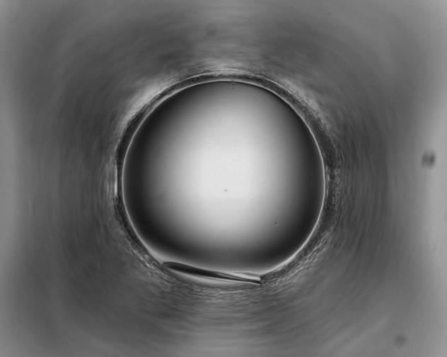 X0000098211269200805011202