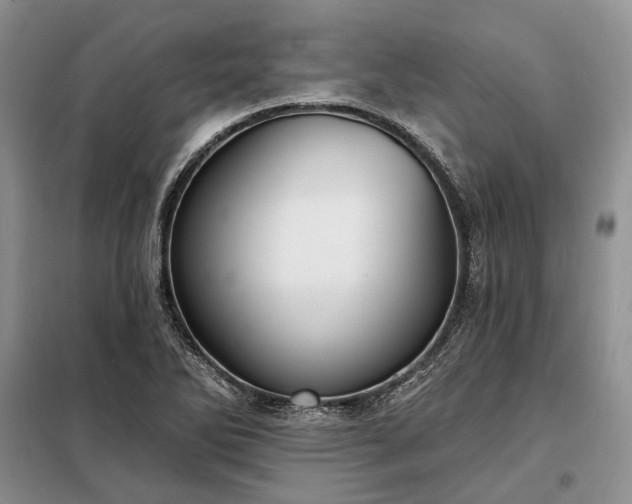 X0000098211270200805011202