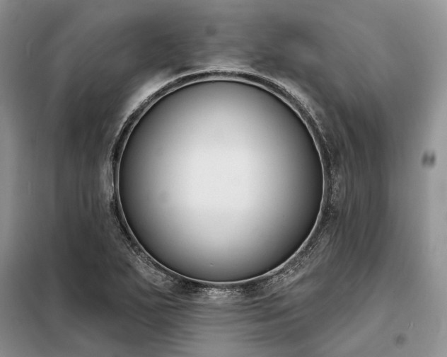 X0000098211271200805011202