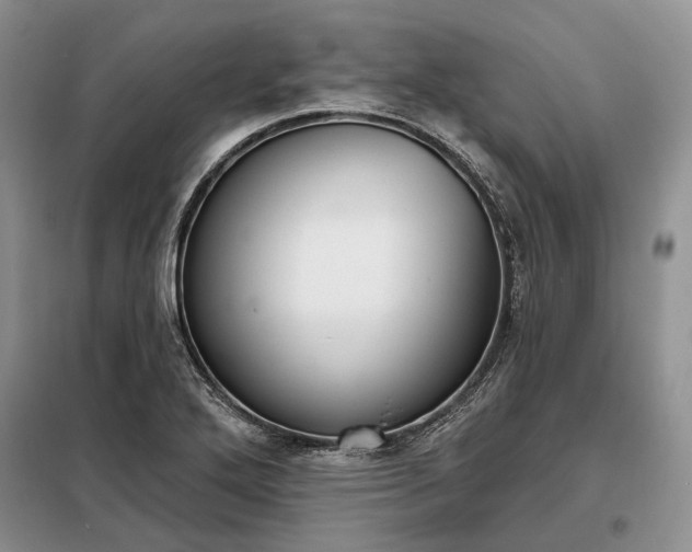 X0000098211272200805011202