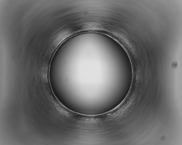 X0000098211273200805011202