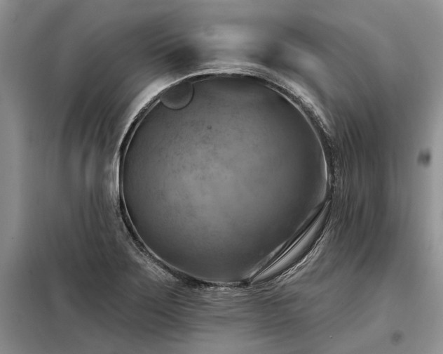 X0000098211275200805011202