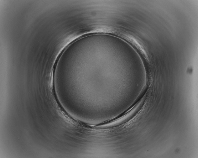 X0000098211276200805011202