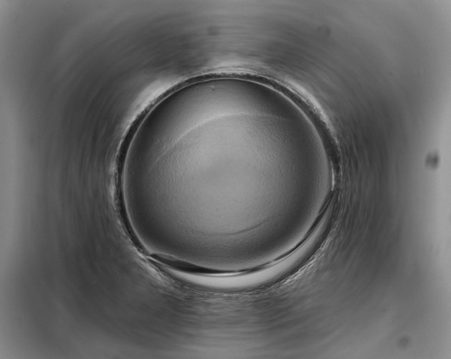 X0000098211277200805011202