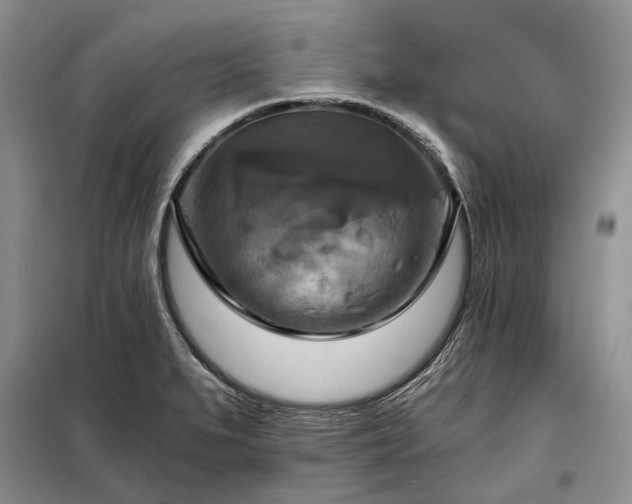 X0000098211279200805011202
