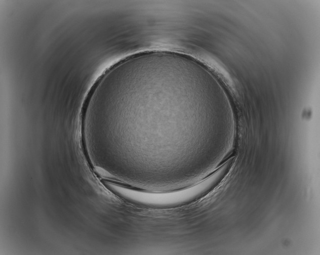 X0000098211280200805011202