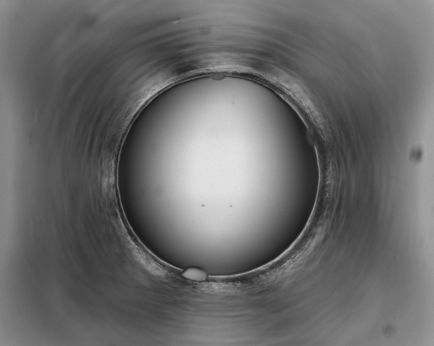 X0000098211281200805011202