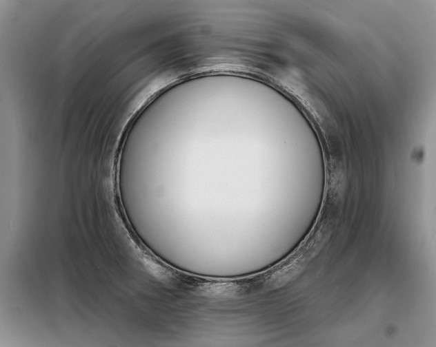 X0000098211282200805011202