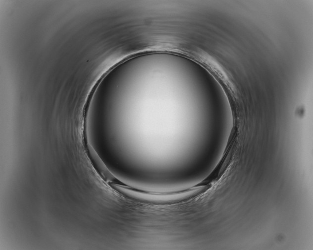 X0000098211284200805011202