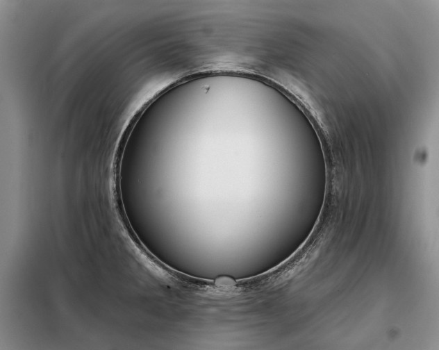 X0000098211285200805011202