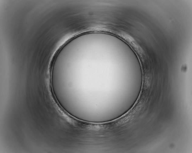 X0000098211286200805011202