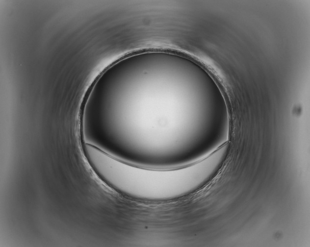 X0000098211287200805011202