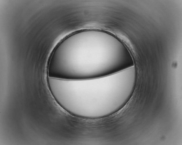 X0000098211288200805011202