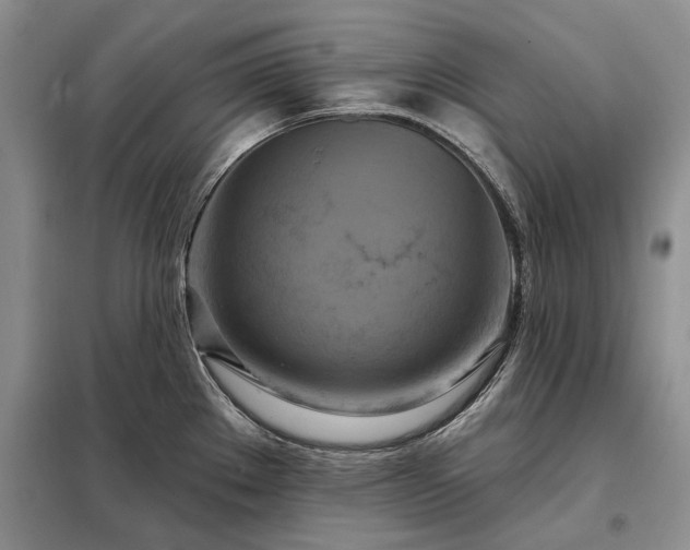 X0000098211289200805011202