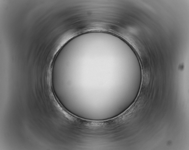 X0000098211290200805011202