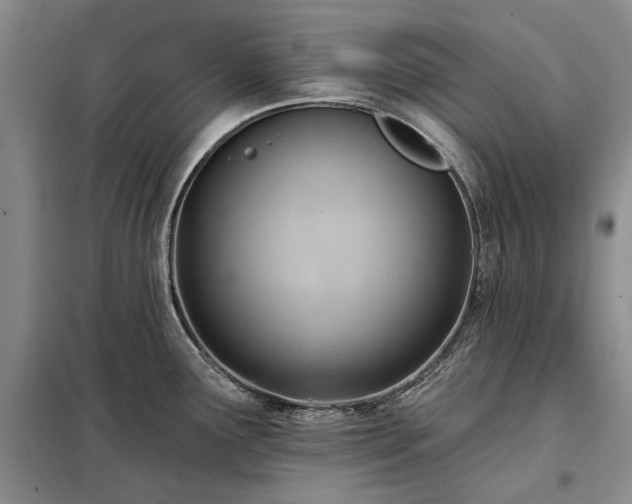 X0000098211291200805011202