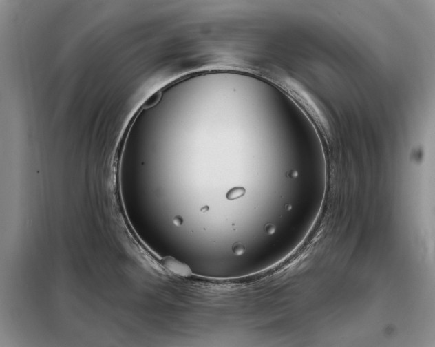 X0000098211292200805011202